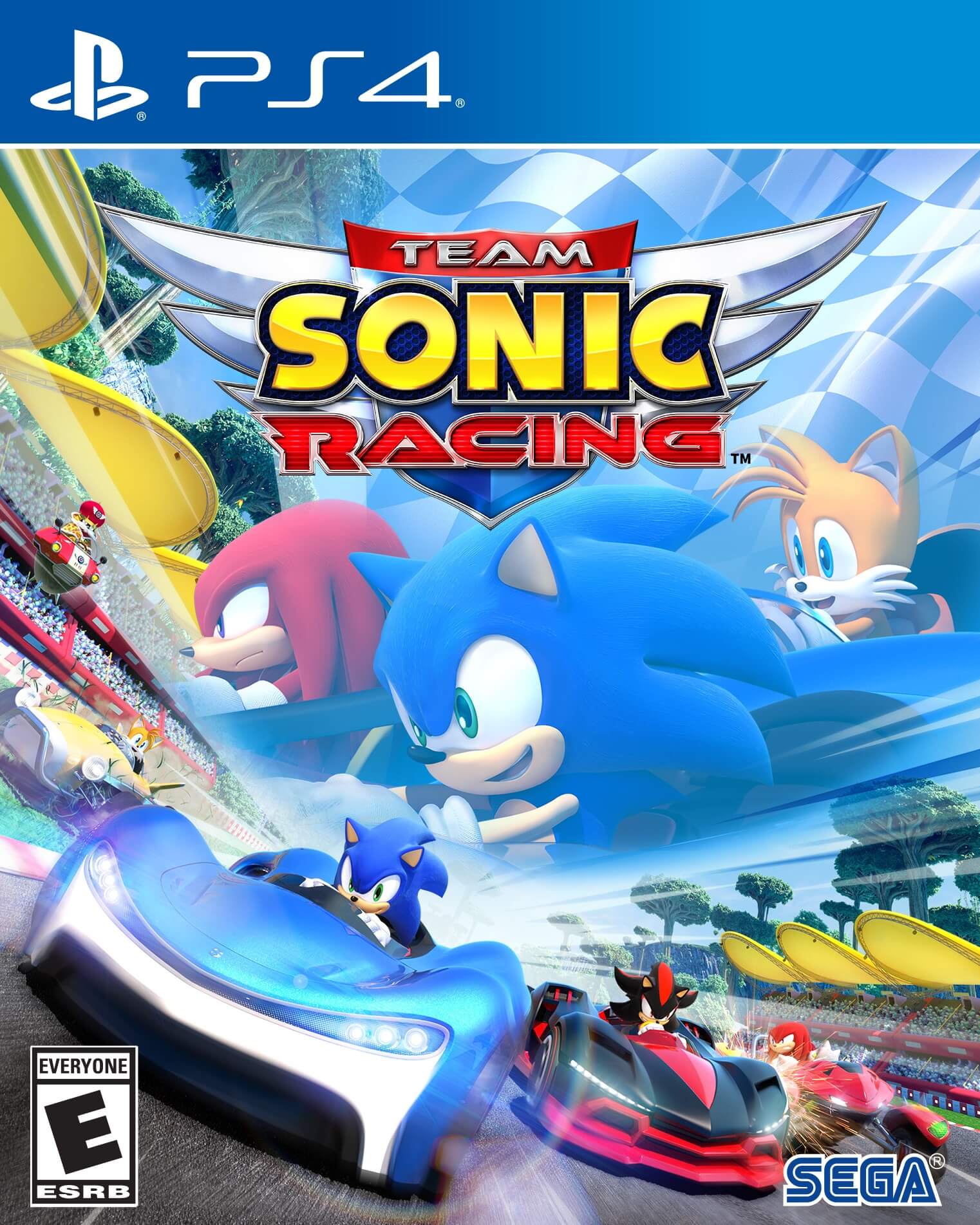 team sonic racing game