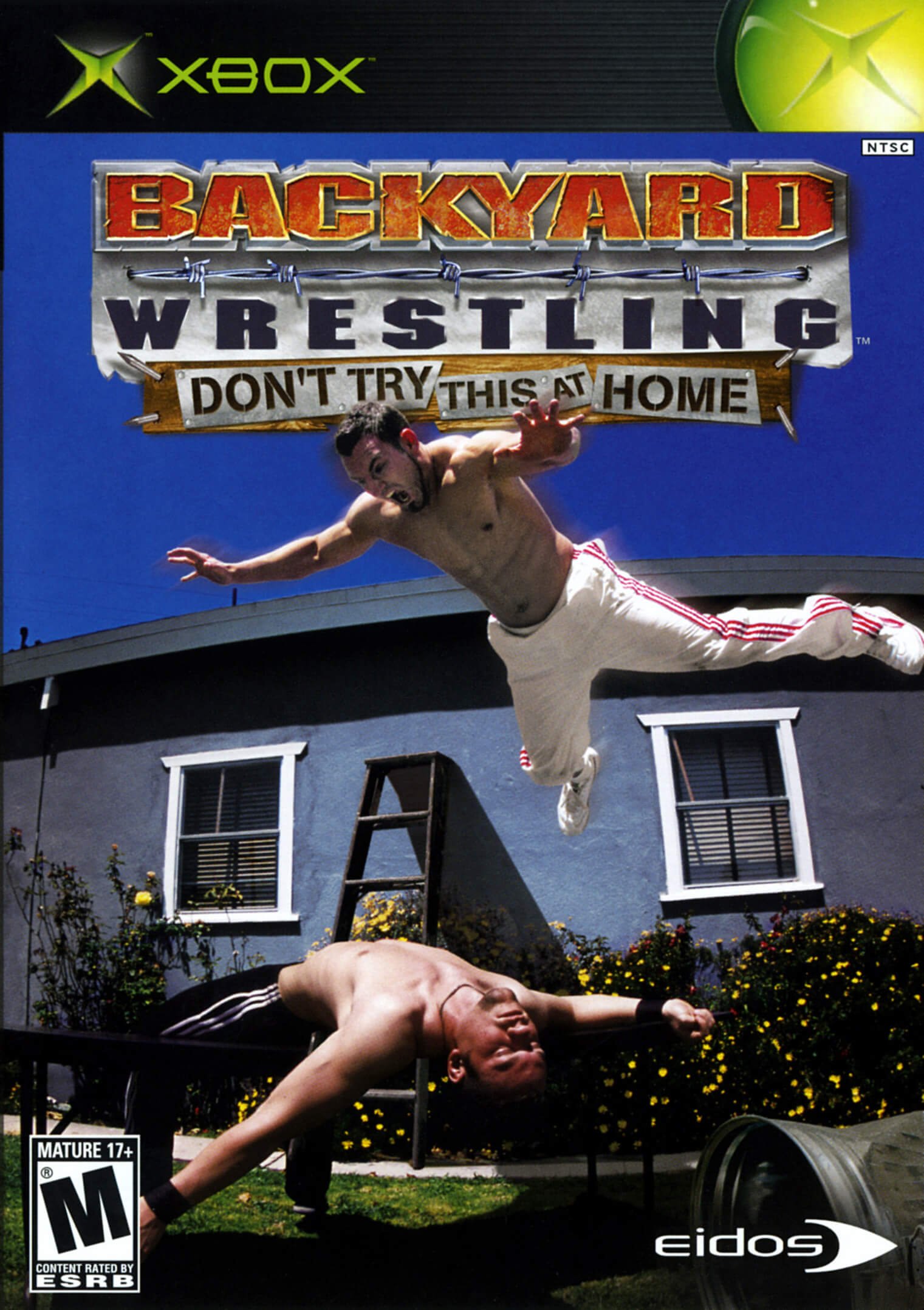 Backyard Wrestling: Don't Try This at Home