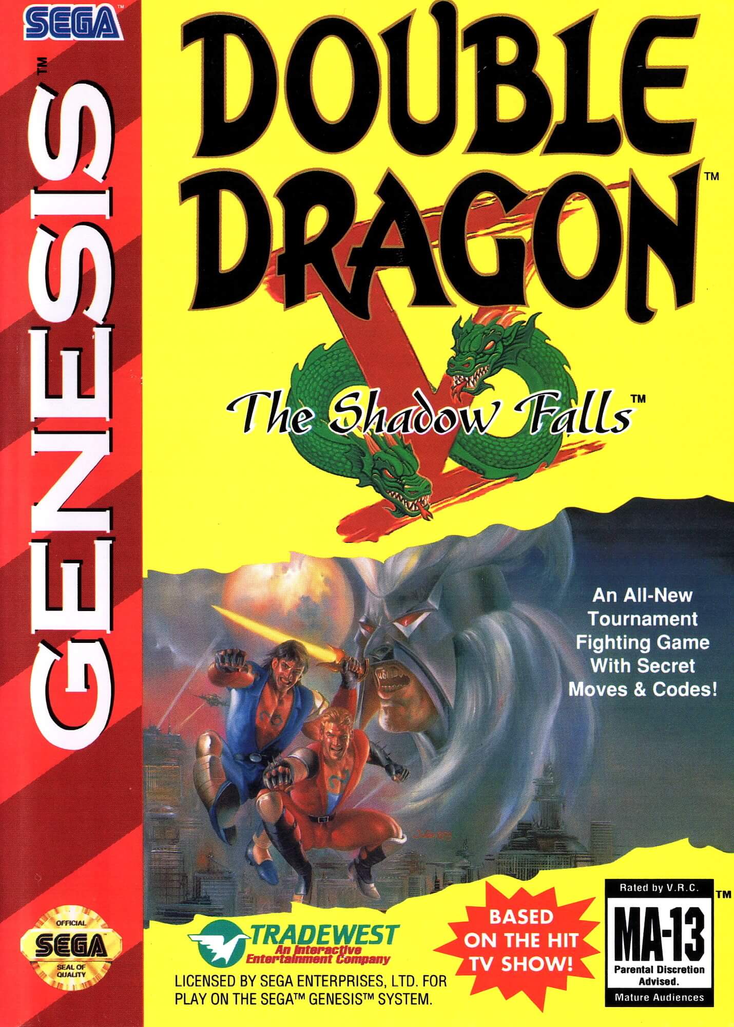 Double Dragon V: The Shadow Falls