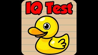 IQ Test