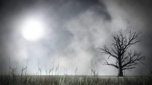 ‘n Verlore Verstand