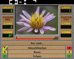 Quizard_0